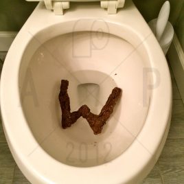 Letter W
