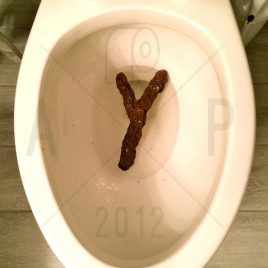 Letter Y